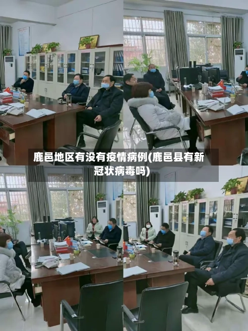 鹿邑地区有没有疫情病例(鹿邑县有新冠状病毒吗)