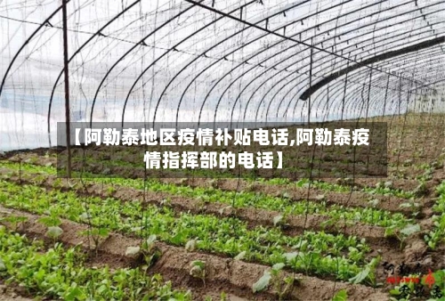 【阿勒泰地区疫情补贴电话,阿勒泰疫情指挥部的电话】