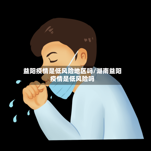 益阳疫情是低风险地区吗/湖南益阳疫情是低风险吗