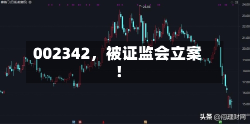002342，被证监会立案！