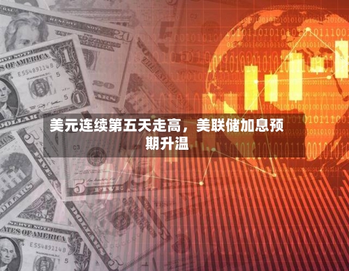 美元连续第五天走高，美联储加息预期升温