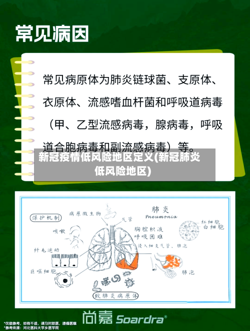 新冠疫情低风险地区定义(新冠肺炎低风险地区)
