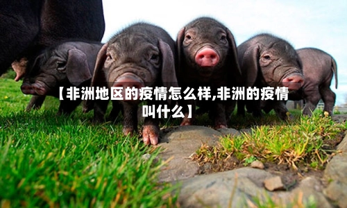 【非洲地区的疫情怎么样,非洲的疫情叫什么】