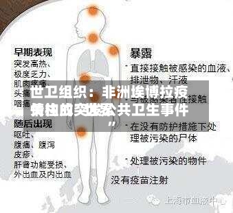 世卫组织：非洲埃博拉疫情构成“世界关注的突发公共卫生事件”
