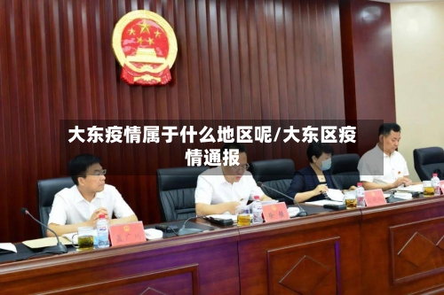 大东疫情属于什么地区呢/大东区疫情通报