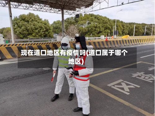 现在道口地区有疫情吗(道口属于哪个地区)