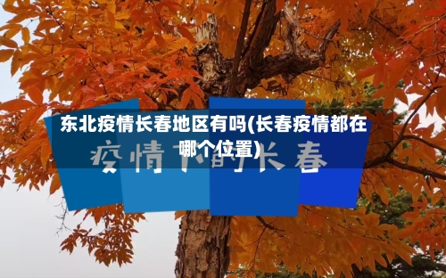 东北疫情长春地区有吗(长春疫情都在哪个位置)