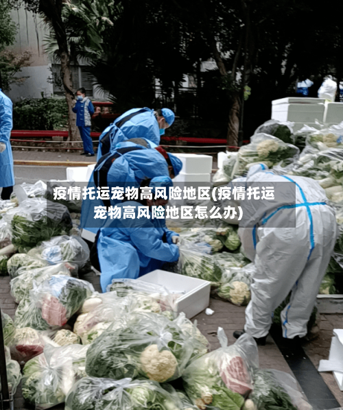 疫情托运宠物高风险地区(疫情托运宠物高风险地区怎么办)