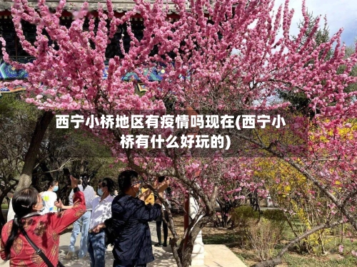 西宁小桥地区有疫情吗现在(西宁小桥有什么好玩的)