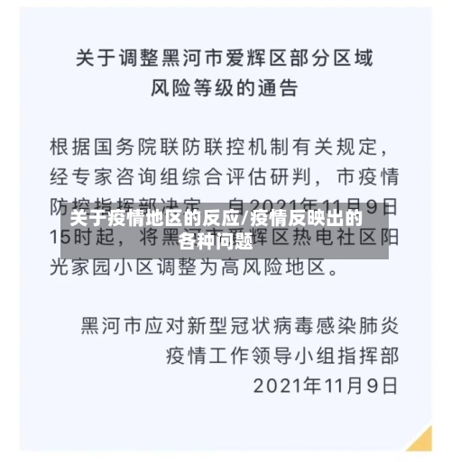 关于疫情地区的反应/疫情反映出的各种问题