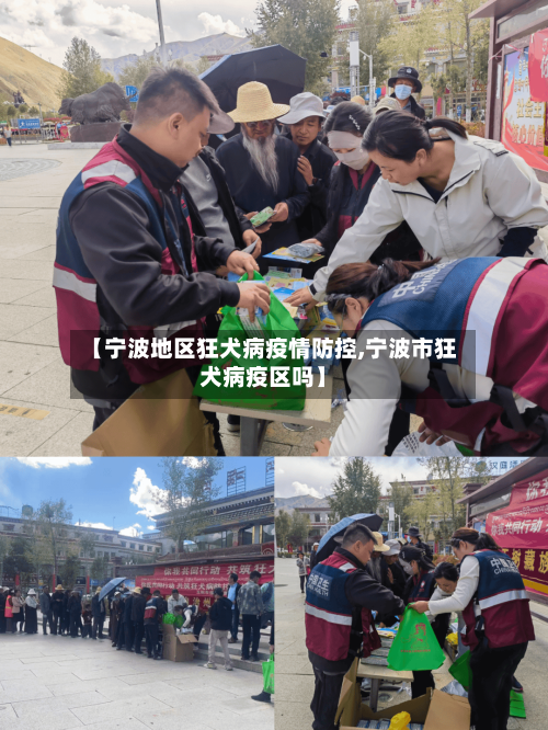 【宁波地区狂犬病疫情防控,宁波市狂犬病疫区吗】