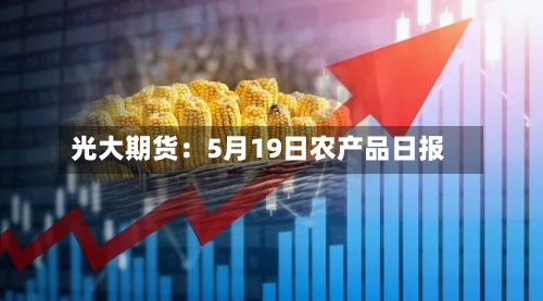 光大期货：5月19日农产品日报