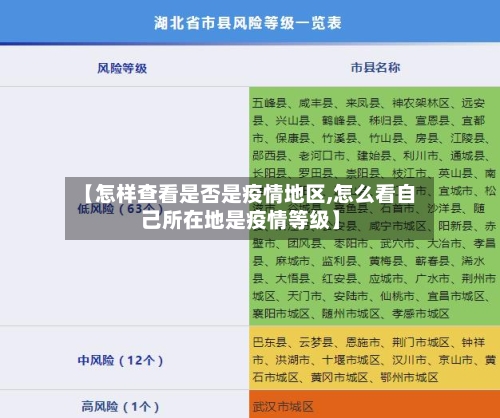 【怎样查看是否是疫情地区,怎么看自己所在地是疫情等级】