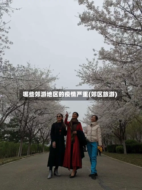 哪些郊游地区的疫情严重(郊区旅游)