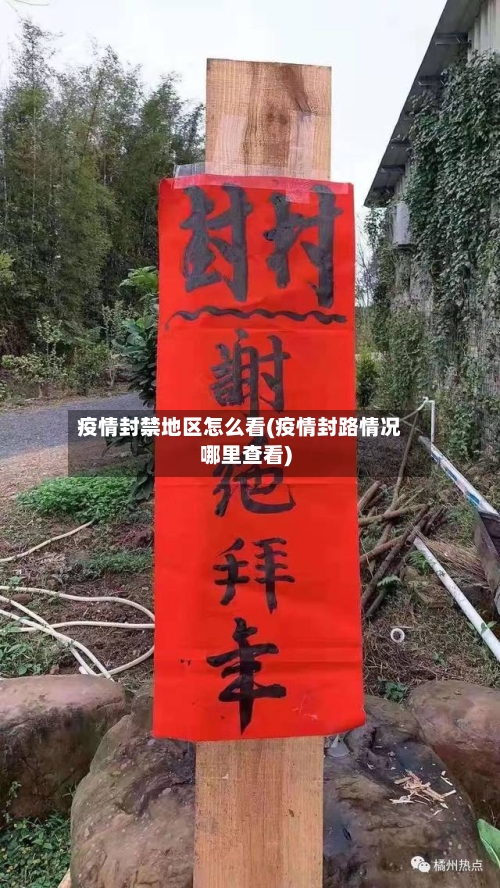 疫情封禁地区怎么看(疫情封路情况哪里查看)