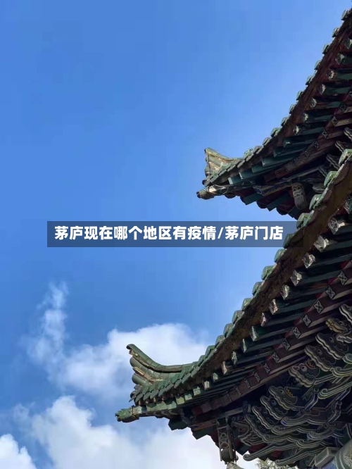 茅庐现在哪个地区有疫情/茅庐门店
