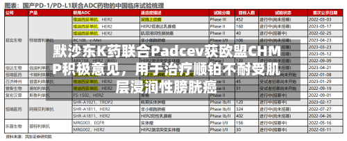默沙东K药联合Padcev获欧盟CHMP积极意见，用于治疗顺铂不耐受肌层浸润性膀胱癌