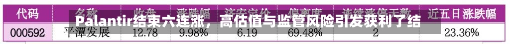 Palantir结束六连涨，高估值与监管风险引发获利了结