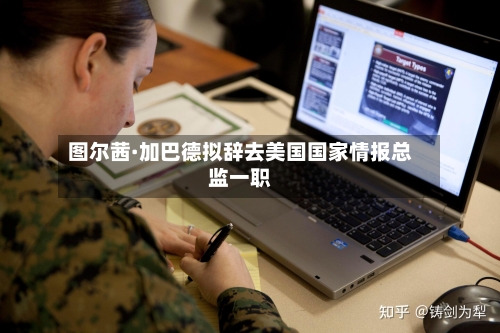 图尔茜·加巴德拟辞去美国国家情报总监一职