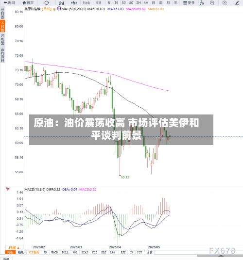 原油：油价震荡收高 市场评估美伊和平谈判前景