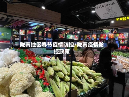 陇南地区春节疫情防控/陇南疫情防控政策