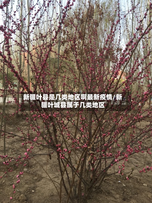 新疆叶县是几类地区啊最新疫情/新疆叶城县属于几类地区