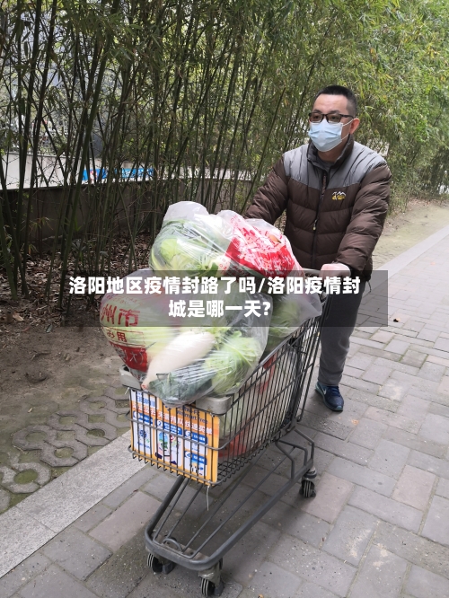 洛阳地区疫情封路了吗/洛阳疫情封城是哪一天?