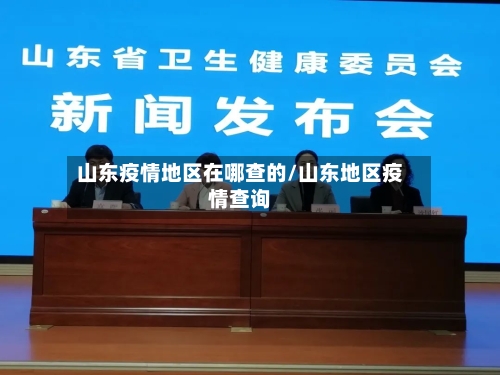 山东疫情地区在哪查的/山东地区疫情查询