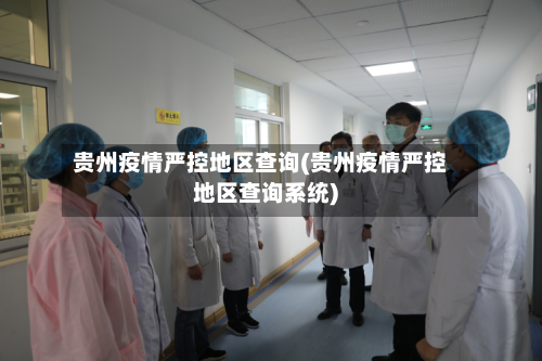 贵州疫情严控地区查询(贵州疫情严控地区查询系统)