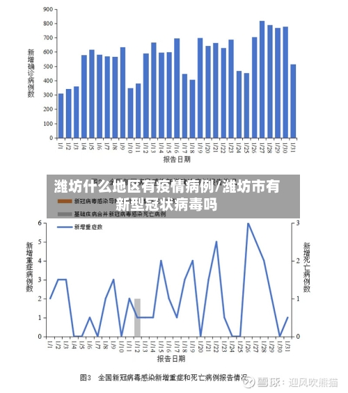潍坊什么地区有疫情病例/潍坊市有新型冠状病毒吗