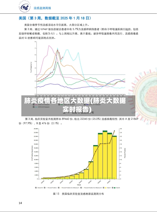 肺炎疫情各地区大数据(肺炎大数据实时报告)