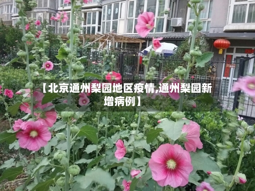 【北京通州梨园地区疫情,通州梨园新增病例】