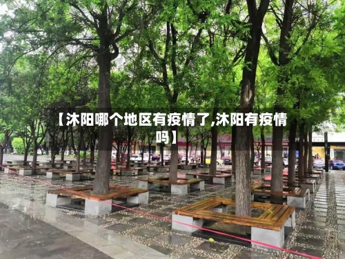 【沐阳哪个地区有疫情了,沐阳有疫情吗】