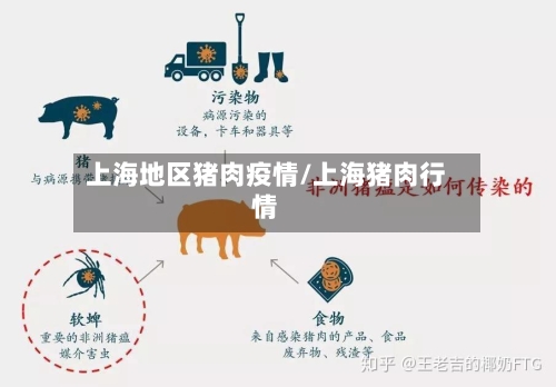 上海地区猪肉疫情/上海猪肉行情