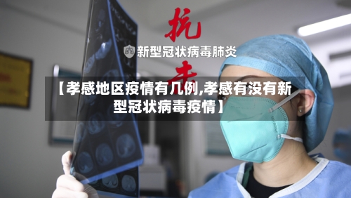 【孝感地区疫情有几例,孝感有没有新型冠状病毒疫情】