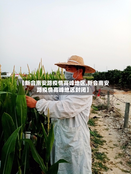 【新会南安路疫情高峰地区,新会南安路疫情高峰地区封闭】