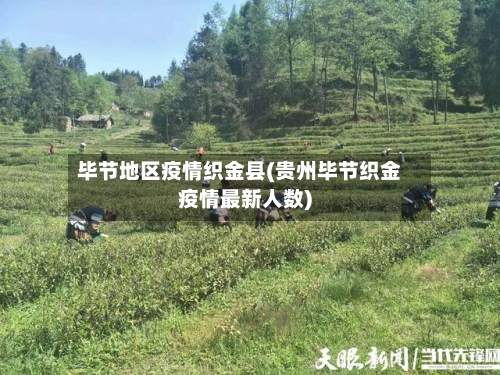 毕节地区疫情织金县(贵州毕节织金疫情最新人数)