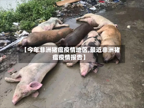 【今年非洲猪瘟疫情地区,最近非洲猪瘟疫情报告】