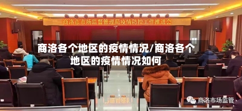 商洛各个地区的疫情情况/商洛各个地区的疫情情况如何
