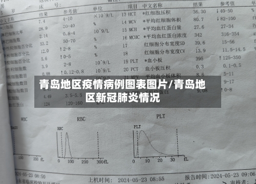 青岛地区疫情病例图表图片/青岛地区新冠肺炎情况