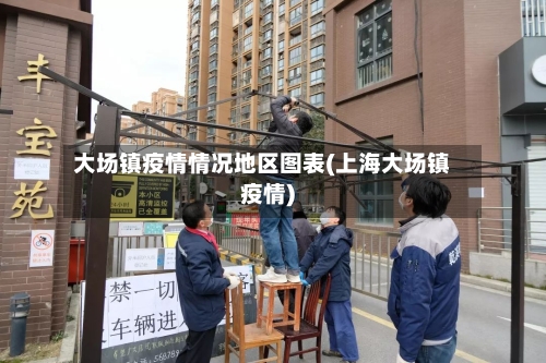 大场镇疫情情况地区图表(上海大场镇疫情)