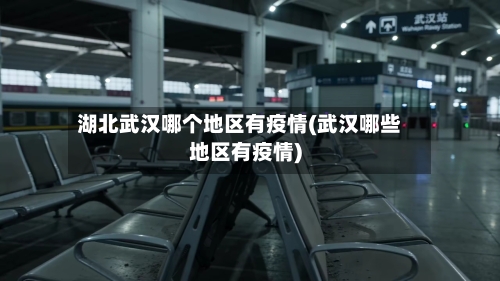 湖北武汉哪个地区有疫情(武汉哪些地区有疫情)