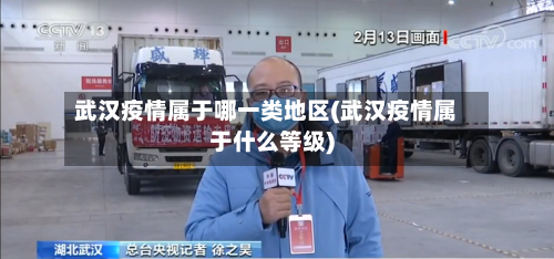 武汉疫情属于哪一类地区(武汉疫情属于什么等级)