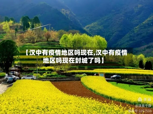 【汉中有疫情地区吗现在,汉中有疫情地区吗现在封城了吗】