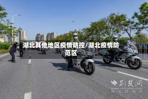 湖北其他地区疫情防控/湖北疫情防范区