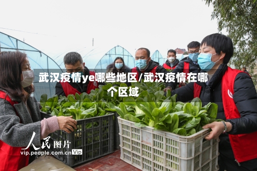 武汉疫情ye哪些地区/武汉疫情在哪个区域