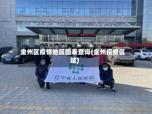 金州区疫情地区图表查询(金州疫情区域)