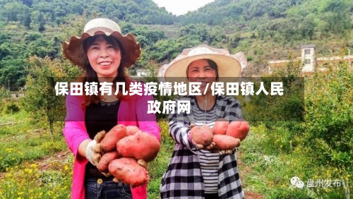 保田镇有几类疫情地区/保田镇人民政府网