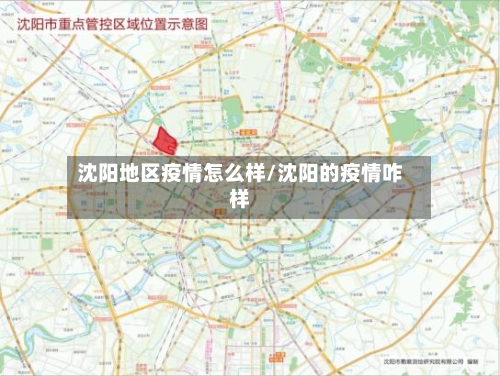 沈阳地区疫情怎么样/沈阳的疫情咋样