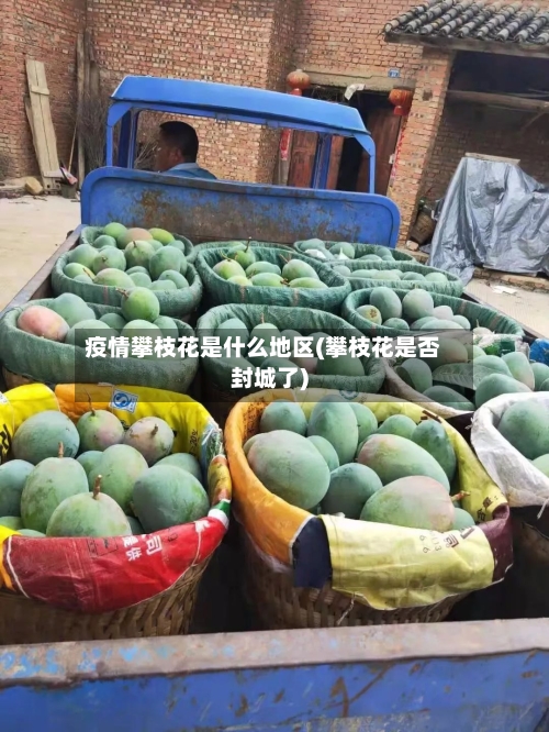 疫情攀枝花是什么地区(攀枝花是否封城了)